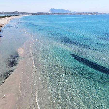 Iss Travel, Pedra Rosa 2 Bedroom Apartments With Private Terrace And Air Conditioning サン・テオドーロ エクステリア 写真