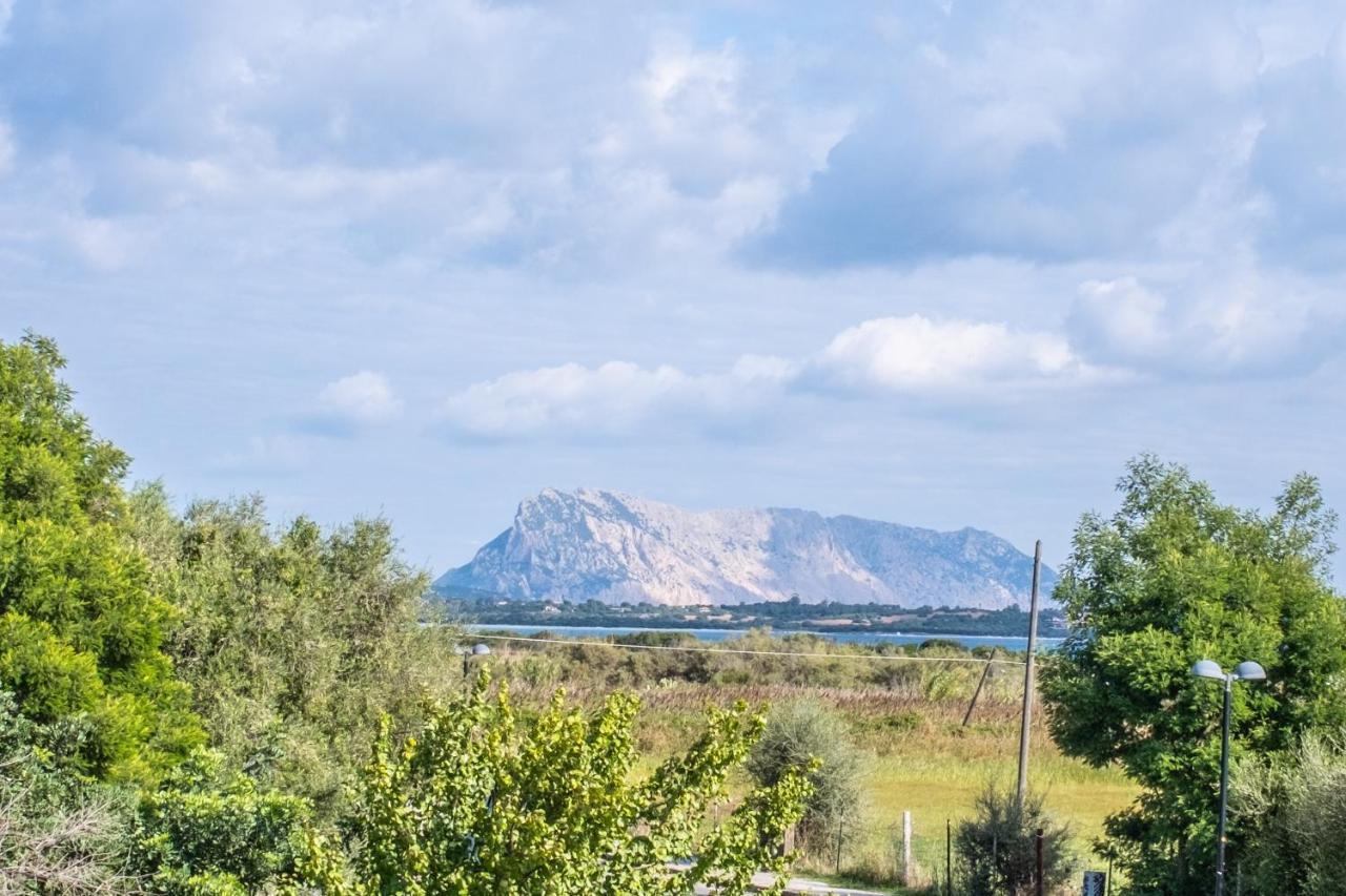 Iss Travel, Pedra Rosa 2 Bedroom Apartments With Private Terrace And Air Conditioning サン・テオドーロ エクステリア 写真